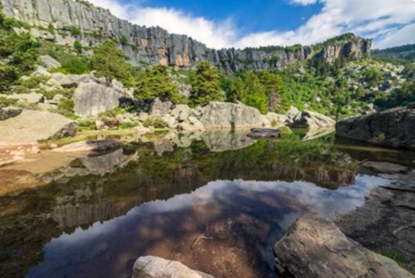 Reserva Nacional de Caza de Urbión